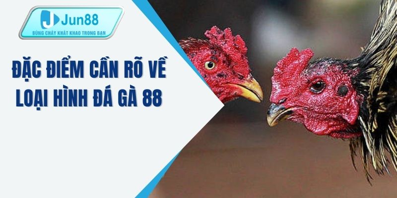 Đặc điểm cần rõ về loại hình đá gà 88 