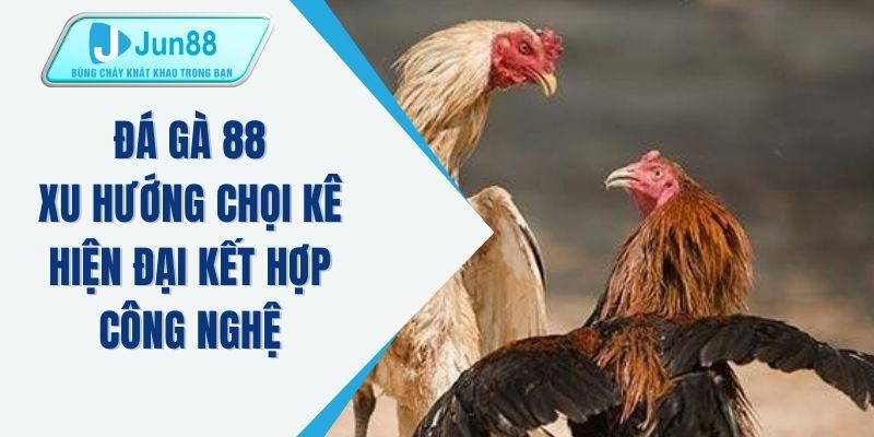 Đá gà 88
